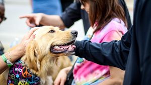 Medicii veterinari avertizează: ”Dacă sunt infectați cu noul coronavirus, nu interacționați cu animalele de companie”. Care este specia cea mai vulnerabilă