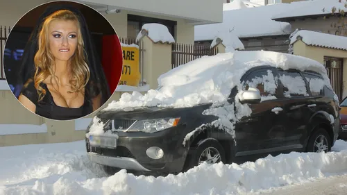 Zapada a venit, vedetele au dormit! Uite cum le-a prins prima ninsoare!