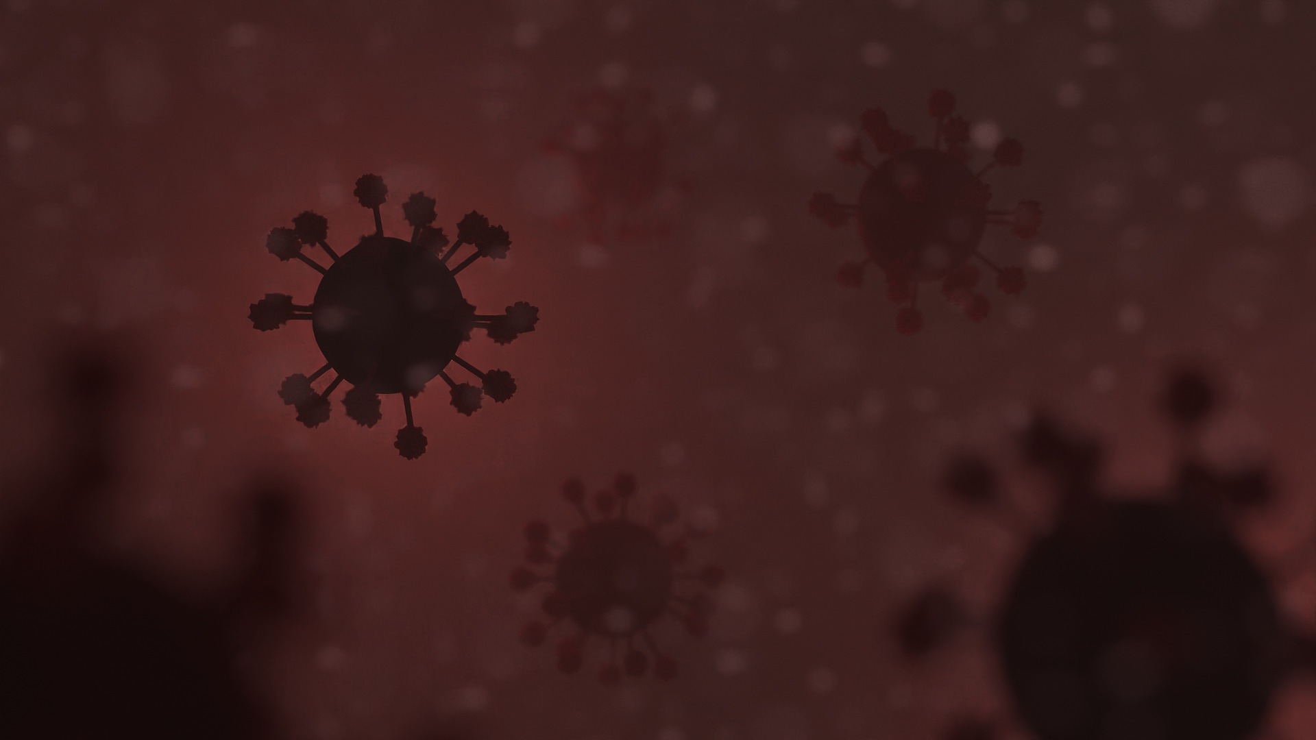 Coronavirus România, 1 decembrie. Doar 4.272 cazuri noi de persoane infectate cu SARS – CoV – 2 (COVID – 19), în ultimele 24 de ore