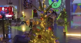 Galerie foto - poza 2