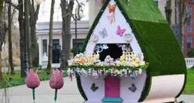 Galerie foto - poza 4