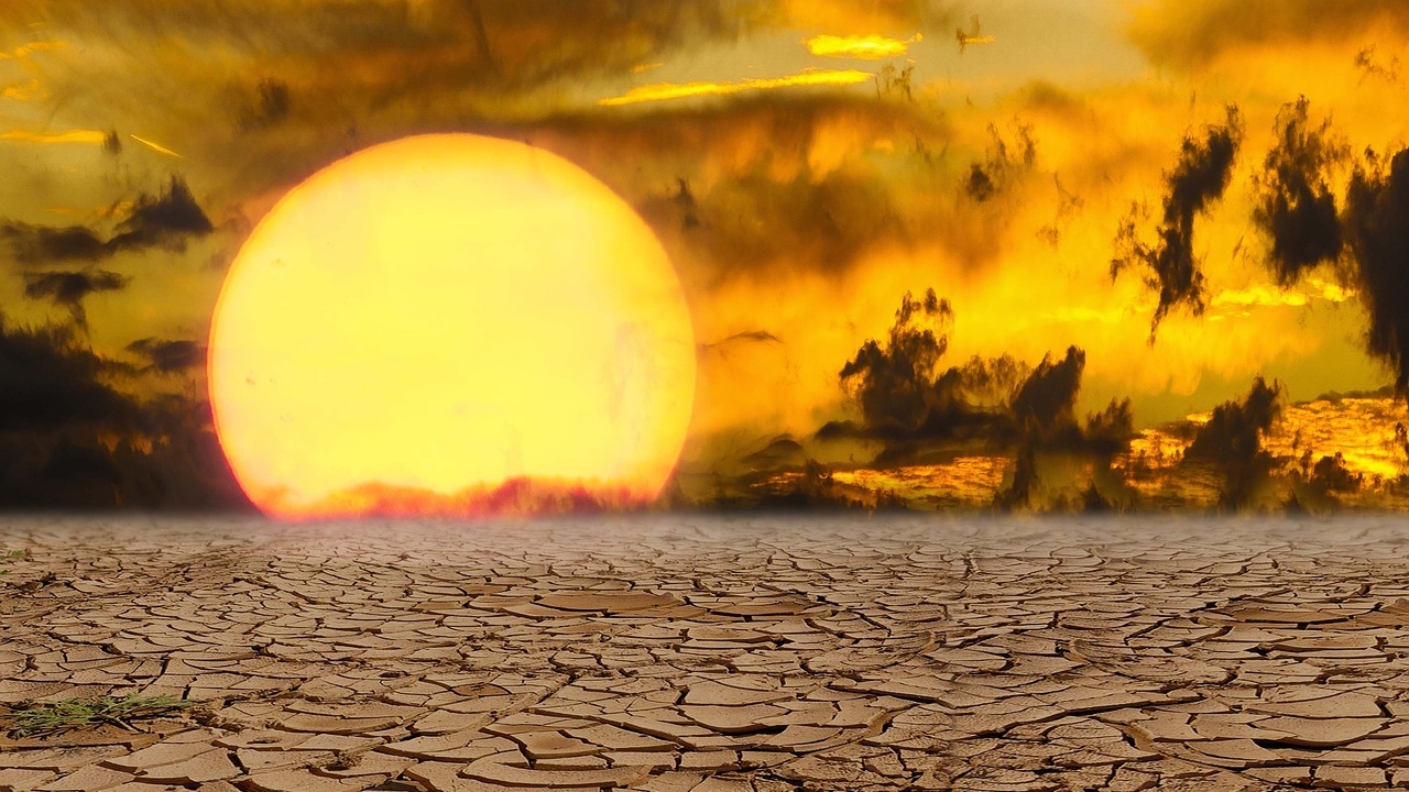 Specialist în fenomene meteo extreme, despre efectele caniculei: „Organismul nu mai face față!”