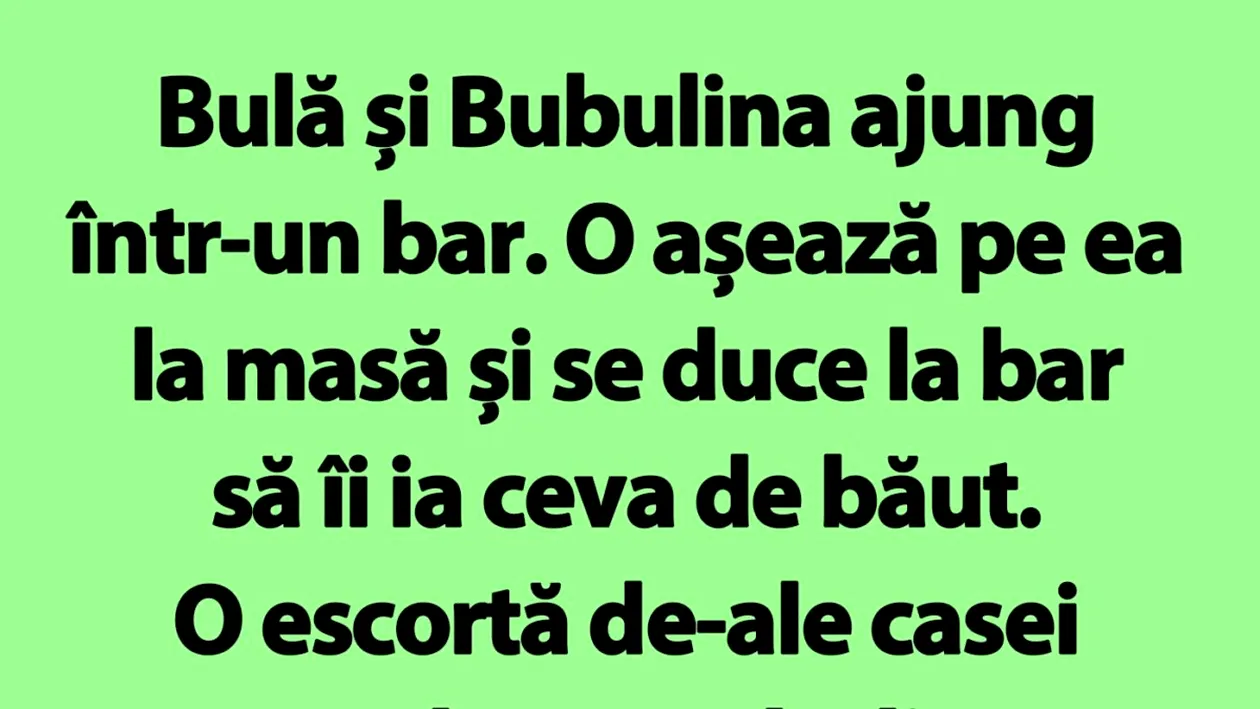 Bancul de marți | Bulă și Bubulina ajung într-un bar. O așează pe ea la masă și se duce la bar să îi ia ceva de băut