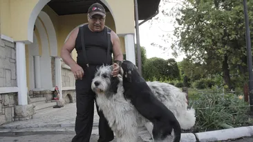 Inamicul public nr. 1 din Romania anilor ’90 ajunge din nou in sala de judecata. Trutulescu nu se teme de nimic