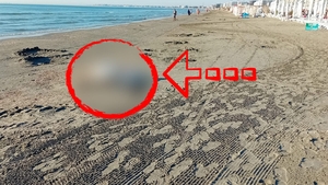 Imagini ireale în stațiunea Mamaia. Ce a fotografiat un turist, pe plajă: "Vai de capul nostru! Nu ne mai facem bine!"