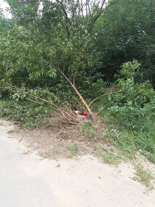 Locul unde s-a petrecut accidentul