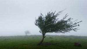 Cod Galben de vreme rea. 11 județe sunt vizate 