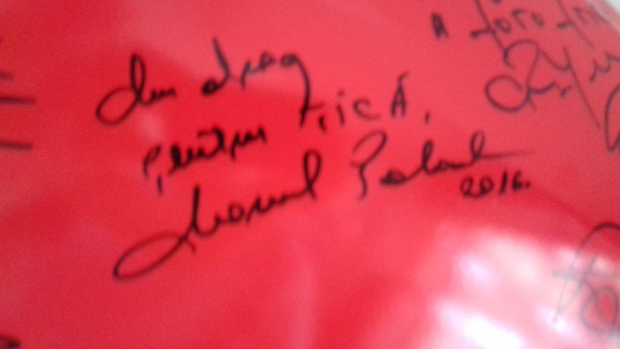 Semnătura lui Cornel Palade, pe recepția pensiunii