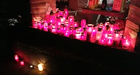 Galerie foto - poza 2