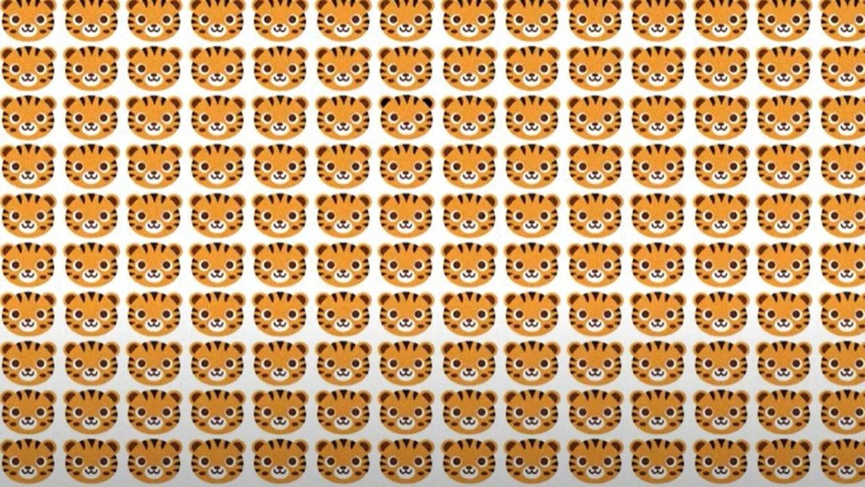 TESTUL SUPREM de vedere | Doar 17 la sută dintre oameni găsesc intrusul