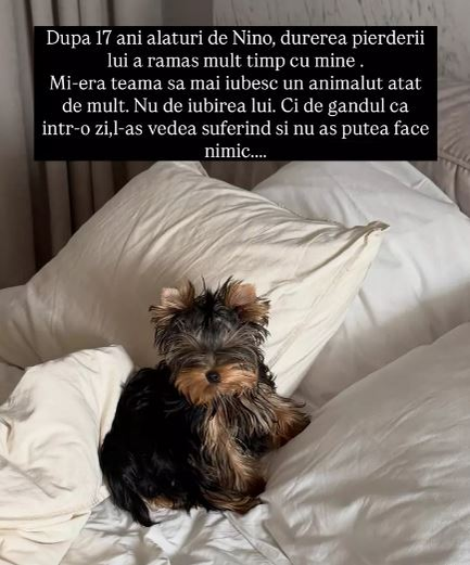 Andreea Bănică trece prin momente cumplite. „Viața mă pune din nou față în față cu cea mai mare teamă”