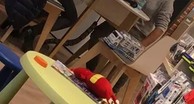 Galerie foto - poza 3