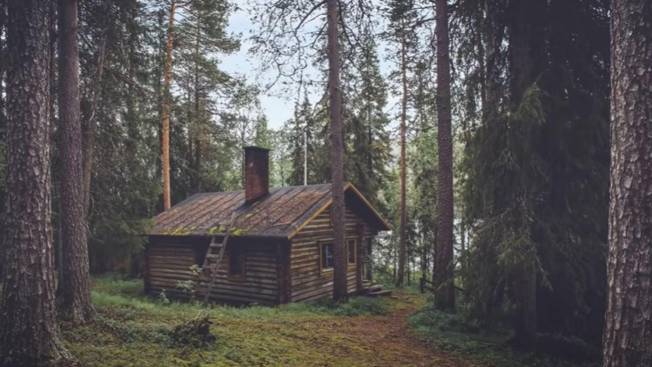 Iluzie optică virală | Unde se ascunde ursul în această imagine? Geniile îl descoperă în 7 secunde