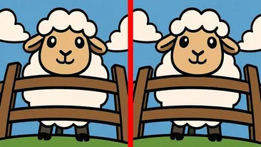 Test de logică | În maximum un minut, identificați toate cel 3 diferențe dintre aceste două oi