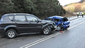 SOC in Buzau! Un mort si un ranit intr-un accident pe DN 2, dupa ce o masina a lovit un PORC