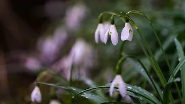 Meteorologii au anunțat că vremea se înrăutățește brusc: “Vom avea un început de martie cu un aspect de iarnă”