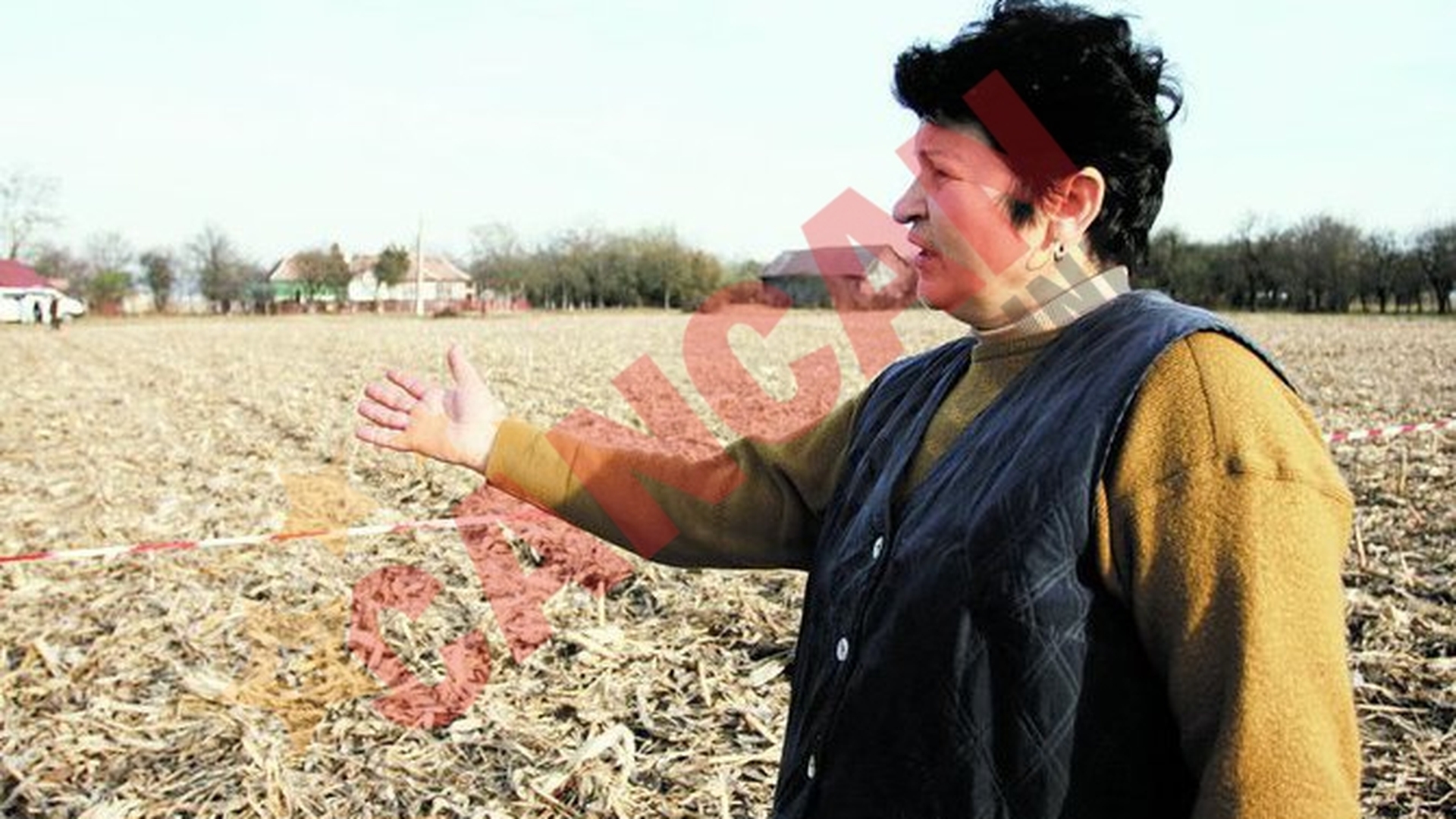 "Pilotii mi-au salvat viata"