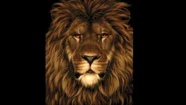 Test IQ exclusiv pentru genii | În această poză apare un leu, dar nu doar atât. Găsiți șobolanul ascuns!