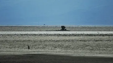 Lacul care transformă păsările în stană de piatră. De ce apa ia viața unor animale