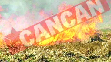 Incendiu la Parcul National Cozia