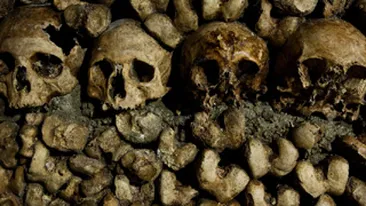 Peste 50 de cadavre au fost gasite intr-o groapa comuna din Mexic