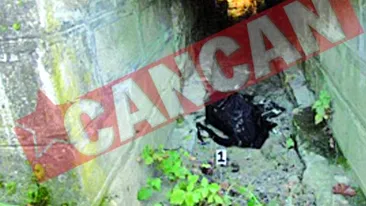 Cadavru transat descoperit sub doua poduri de langa Lugoj