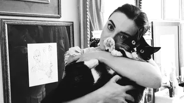 Ana Morodan este în doliu. Motanul ei a avut parte de o moarte violentă, dar rapidă