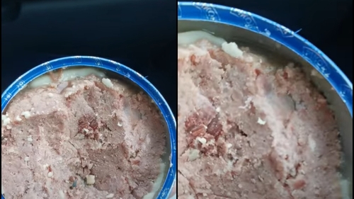 Ce a putut să găsească Timotei într-o conservă din supermarket. I s-a întors stomacul pe dos când s-a uitat mai bine