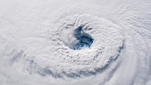 Vortexul polar aduce un episod de iarnă extremă. Unul dintre cele mai dure episode de iarnă pentru planetă