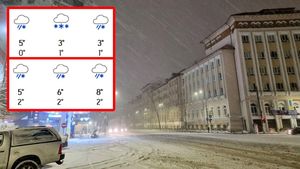 6 zile de ninsori fără oprire în București. Pe ce dată vine "prăpădul", potrivit meteorologilor Accuweather