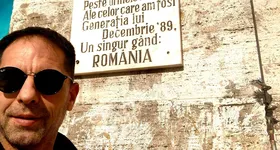 Galerie foto - poza 4