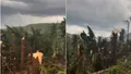 VIDEO „Dezastru, în viața mea n-am văzut așa ceva!” O furtună violentă a pus la pământ o pădure întreagă în Maramureș