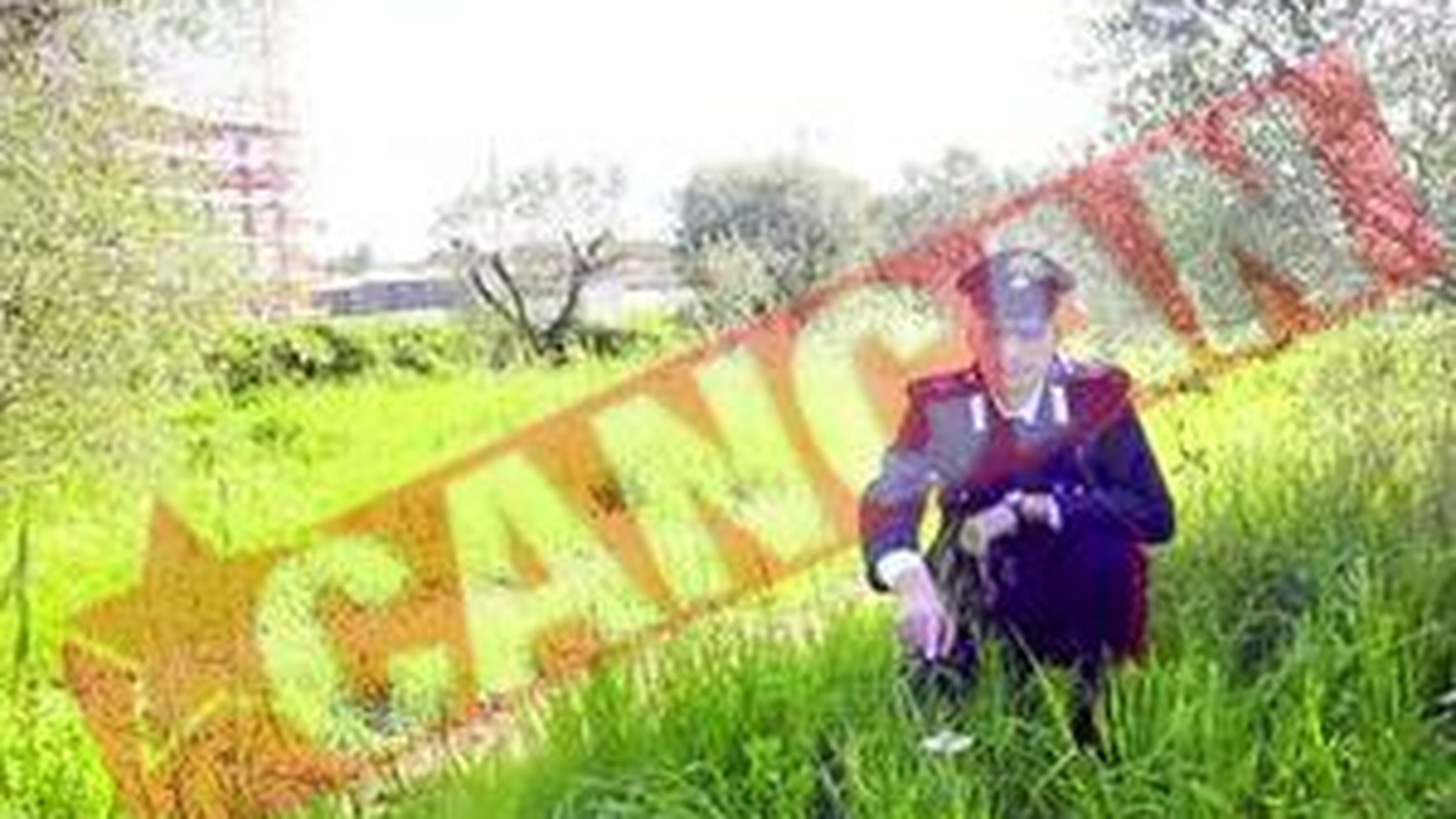 Violatorul roman din Italia are amnezie