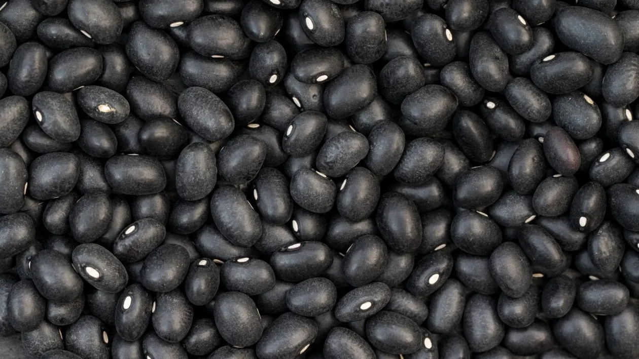 Fasolea neagră, sursă importantă de fibre și proteine. De ce o includ specialiștii în alimentație în meniul zilnic