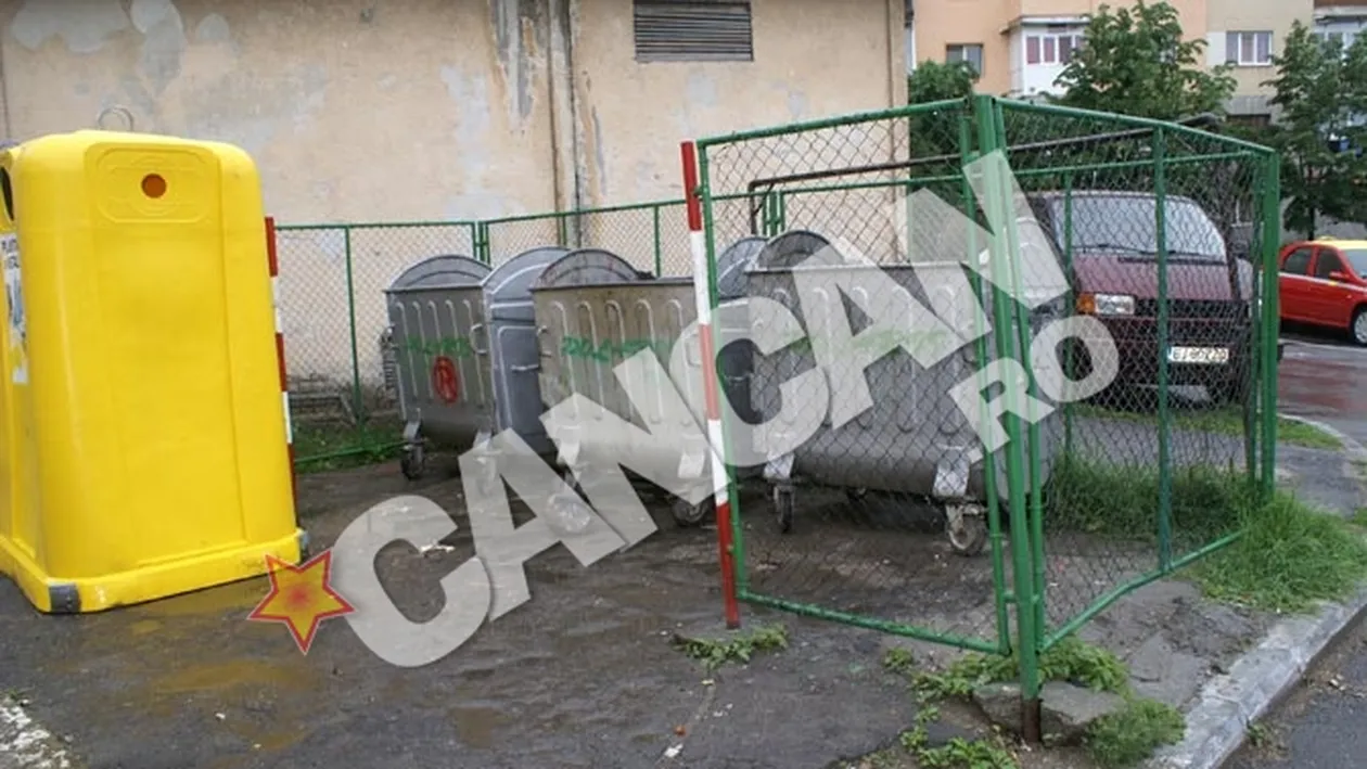 Suflet hain de mama: si-a aruncat bebelusul la gunoi, intr-un sac! Copilul a fost gasit mort