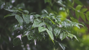 Meteo 9 iunie! Vremea continuă să fie capricioasă, iată când va fi cald şi frumos
