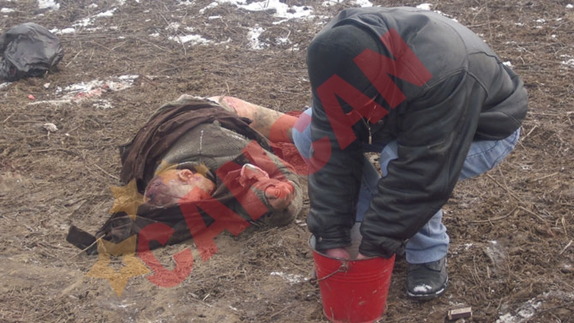 SOCANT! Un batran din Botosani, atacat si omorat de 20 de caini!