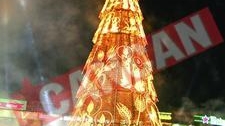 Bradul din Piata Unirii, "demolat" de trei sute de muncitori