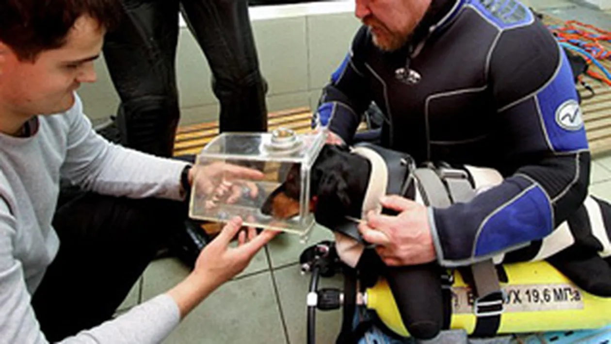 Boniface, cainele-scafandru