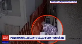 Galerie foto - poza 2