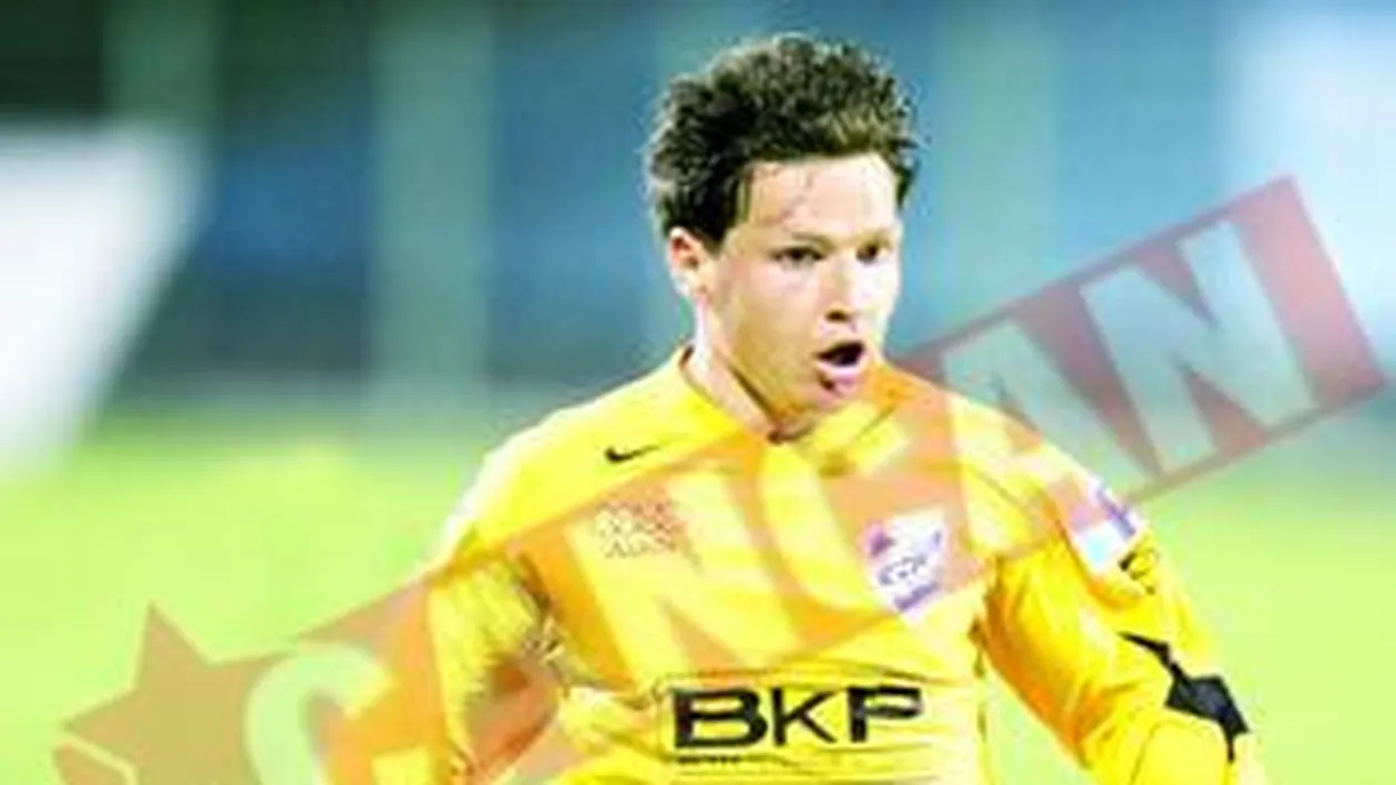 Timisoara, in genunchi