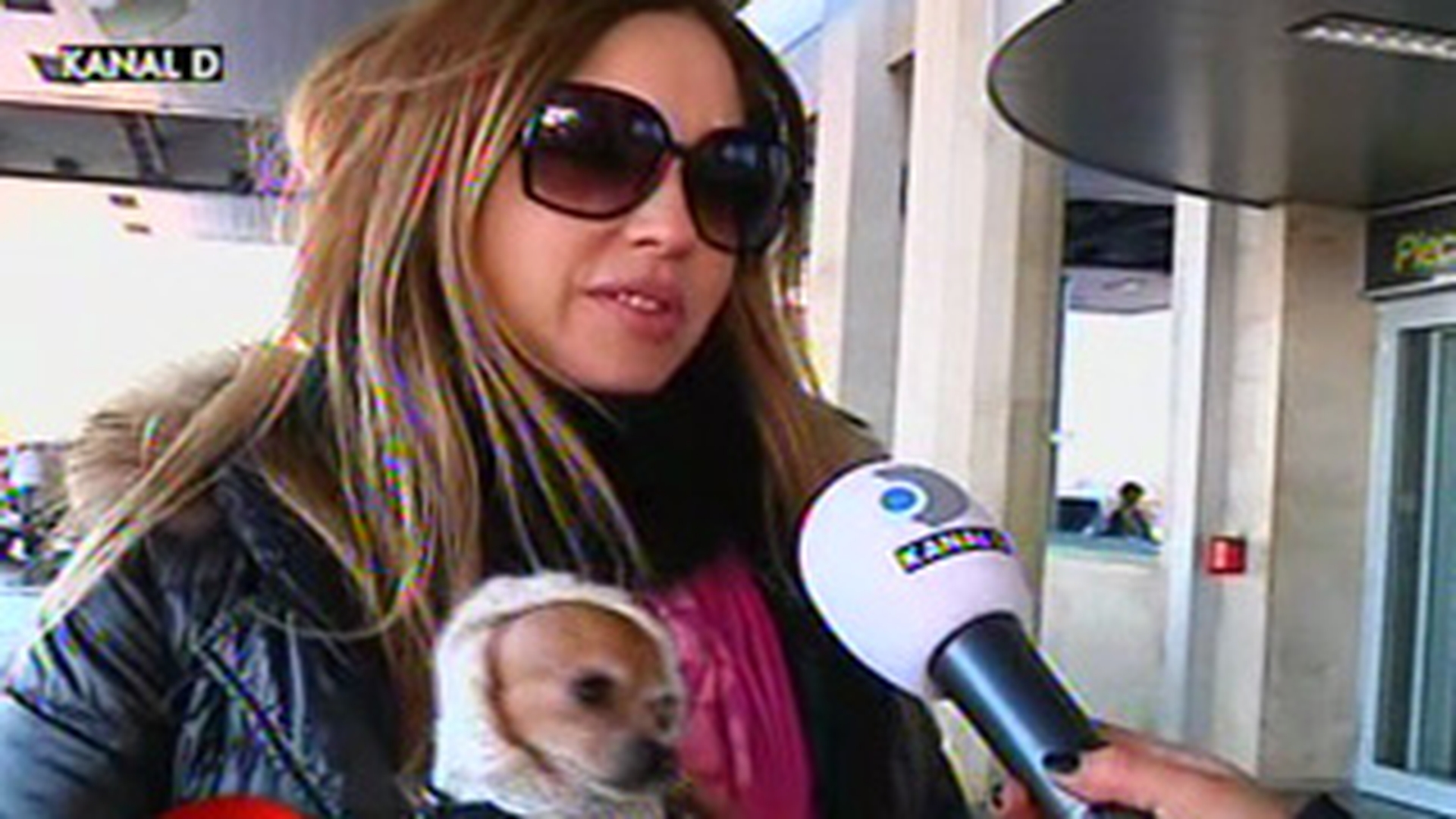 Fite de vedeta! Anca Badiu si-a dus catelusa la sterilizat in Viena!