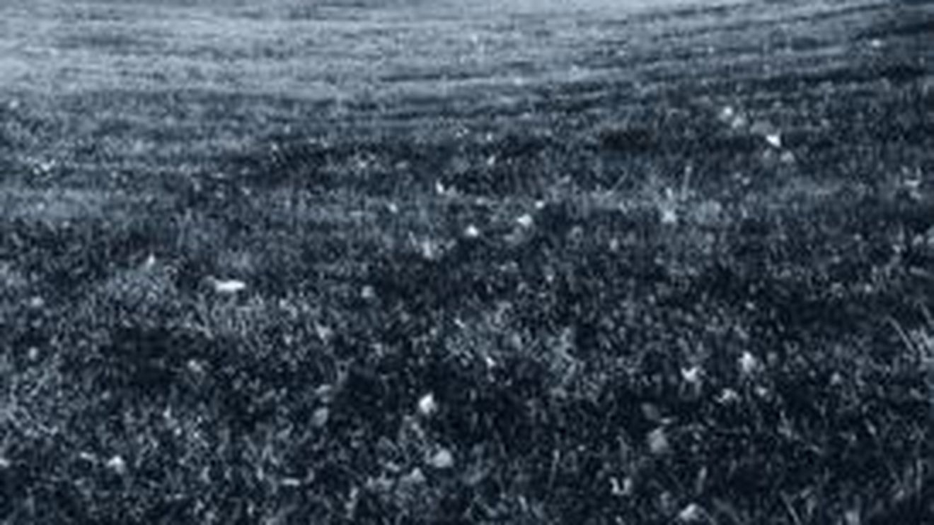 Cel putin 23 de morti si peste 160 de raniti in China, in urma unei tornade