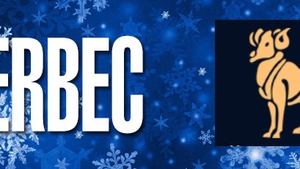 HOROSCOP 2017 IUBIRE - BERBEC