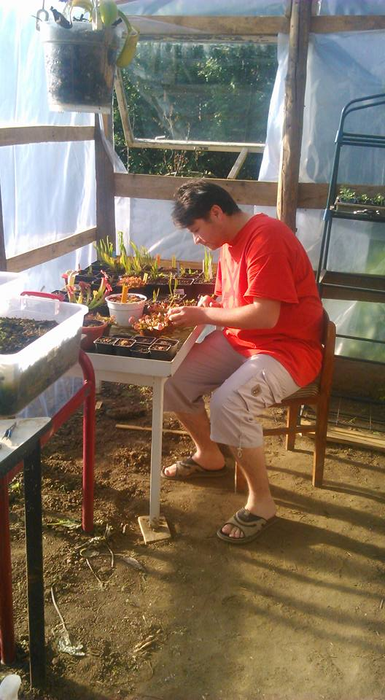 Adrian a construit o seră pentru plantele lui carnivore