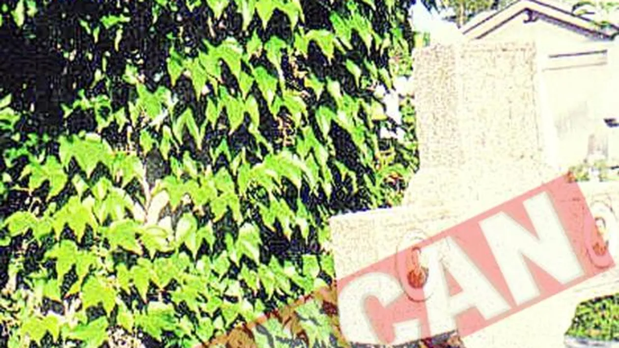 Misterele cimitirului Dumbrava