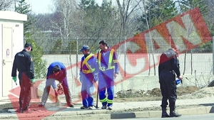 "Vrem canalele inapoi!"
