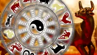 Horoscopul chinezesc pentru 5 martie 2021. Este o zi guvernată de Apă yang și de Șobolan