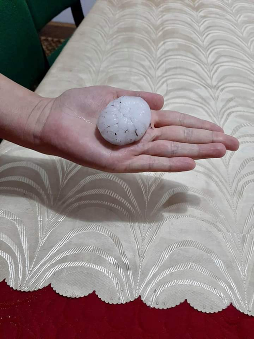 Cultura de pepeni de la Dăbuleni, distrusă de grindină. Fermierii cer ajutorul Guvernului