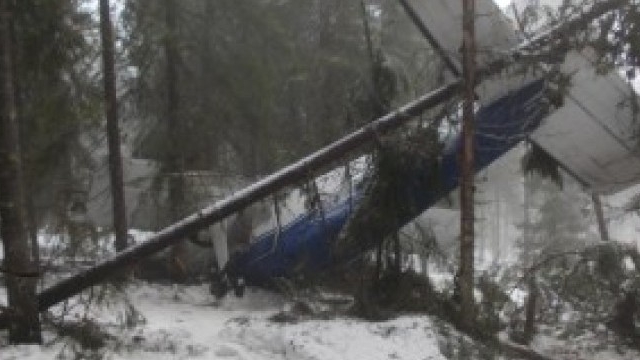 Salvatorii din Apuseni au ajuns sa traiasca un cosmar! Ce se intampla cu motii care au ajuns primii la locul tragediei aviatice!